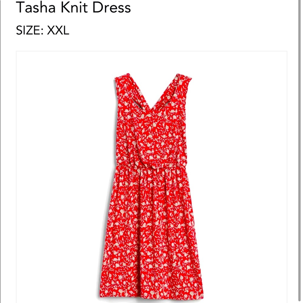 Kaleigh brand Tasha knit dress from StitchFix